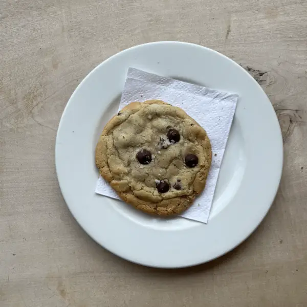 A chocolate chip cookie on a white plate