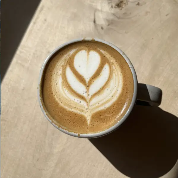 A cappuccino with a rosetta, in a cup on the wooden counter